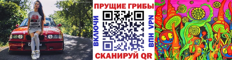как найти закладки  kraken рабочий сайт  Псилоцибиновые грибы прущие грибы  Нижнекамск 
